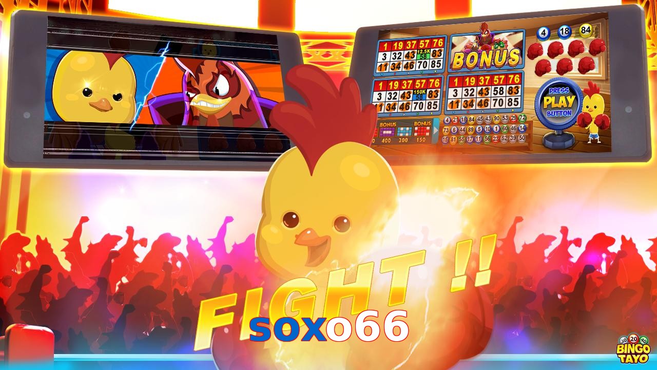 soxo66