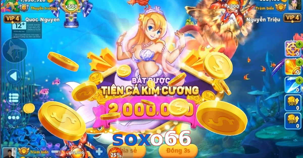 soxo66