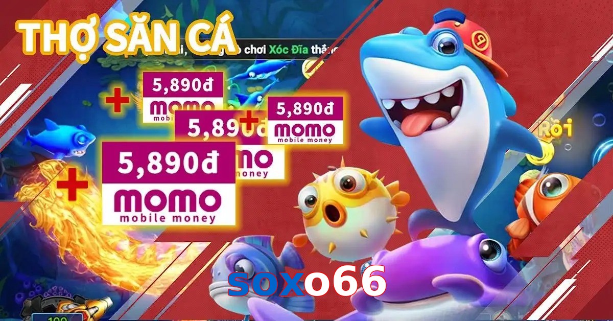 soxo66