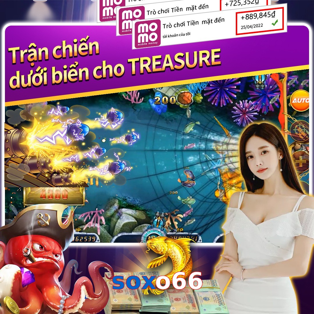 soxo66
